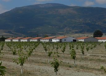 Agromed Tarım İşletmeleri Tesisi